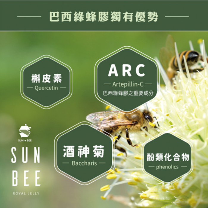 ARC綠蜂膠的新聞介紹、巴西綠蜂膠品質是以是否含有ARC(Artepillin C)作為頂級綠蜂膠的評比